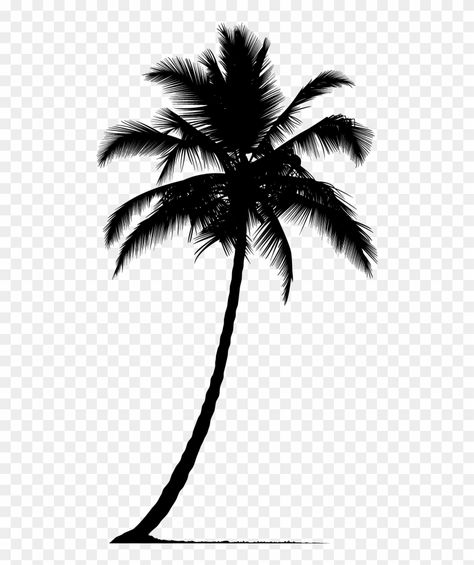 Tree Tatto, Palm Tree Png, Silhouette Tree, Palm Tree Drawing, Palm Tree Vector, Palm Tattoos, Palm Tree Silhouette, Palm Tree Tattoo, Palm Tree Pattern