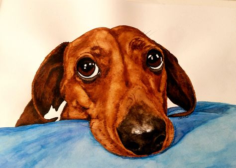 Dachshund Paintings, Dachshund Dog Drawing, Wiener Dog Painting, Dashund Paintings, Daushound Drawing, Weiner Dog Painting, Dachshund Tattoos, Dachshund Painting Acrylics, Eyes Watercolor