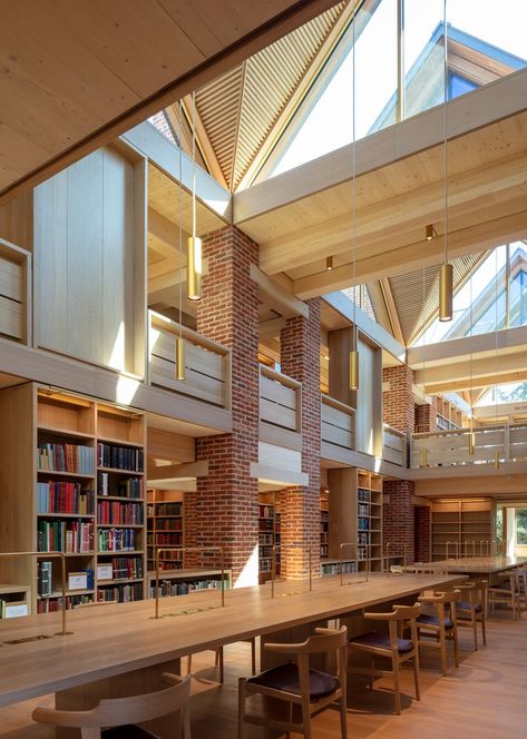 Gallery of Magdalene College Library / Niall McLaughlin Architects - 26 Interior Design Vision Board, Library Lighting, Reading Loft, Book Space, College Architecture, Timber Architecture, Library Architecture, College Library, Modern Library