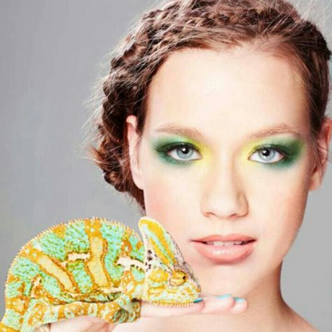 green n yellow Chameleon Eyes, Chameleon Art, Beauty Shoot, Studio Shoot, Photoshoot Inspiration, Exotic Pets, Model Photography, Makeup Lover, Animal Photography