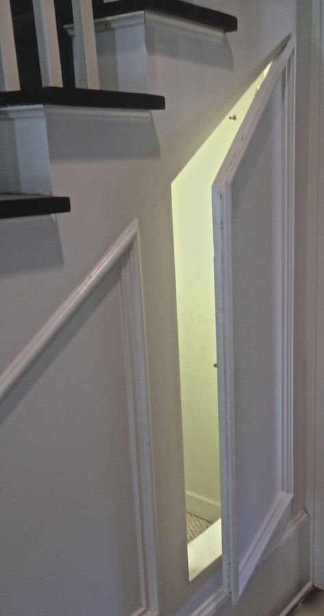 Door Under Stairs, Stairway Storage, Hidden Doors In Walls, Under Stairs Ideas, Room Under Stairs, Closet Under Stairs, Under Stair Storage, Bookshelf Door, Hidden Storage Ideas