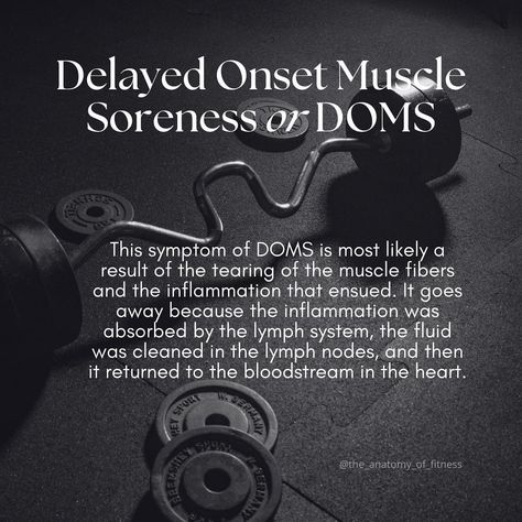 Delayed Onset Muscle Soreness, Lymph System, Muscle Soreness, Lymph Nodes, Sore Muscles, That Day, Intense Workout, Anatomy, Did You Know