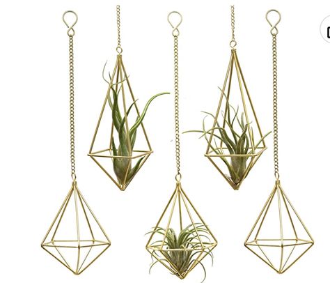 Geometric Hanging Tillandsia Holder Gold Metal Air Plants Holders Hanging for House Decor Living Room,Small Plant Holders Indoor Hanging,Plant Lover Gifts (5Pcs) House Decor Living Room, Air Fern, Plant Holders Indoor, Plant Lover Gifts, Geometric Planter, Air Plant Display, Tillandsia Air Plant, Hanging Plants Indoor, Hanging Plant