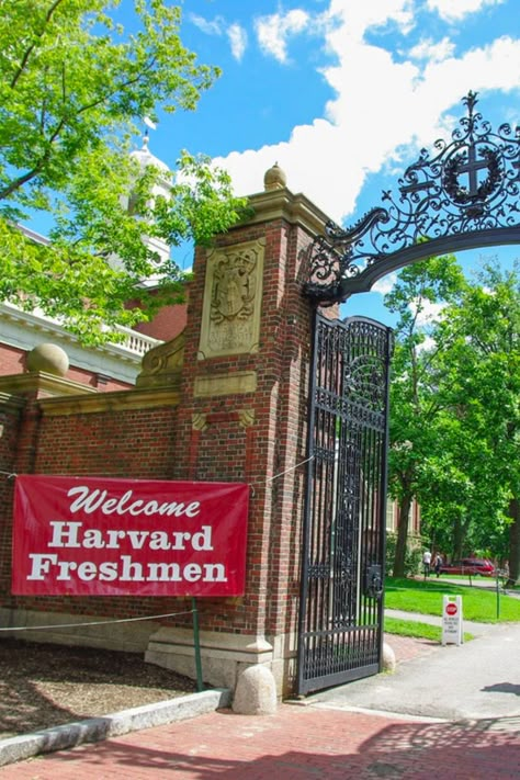 Harvard University Campus Aesthetic, Study Abroad Aesthetic Usa, Harvard Manifestation, Harvard Medical School Aesthetic, Harvard Motivation, Harvard Student Aesthetic, Harvard University Aesthetic, Ivy University, Harvard Aesthetic