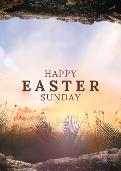 easter Easter Sunday Images, Greenery Day, Happy Easter Sunday, Sunday Wishes, Sunday Images, Easter Messages, Jesus Is Risen, Jesus Is Alive, Happy Easter Wishes