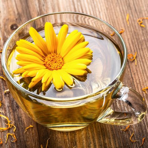 Healing Wounds, Calendula Flower, Calendula Oil, Drinks Design, Flower Oil, Oil Recipes, Herbal Tea, Glass Cup, Clean Beauty