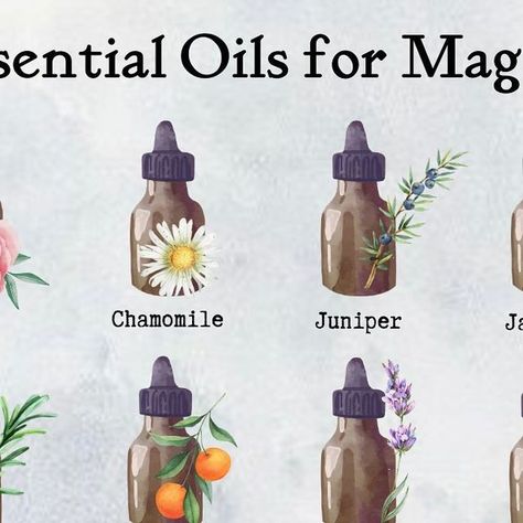 Alice Kendall on Instagram: "Essential oils for magick and spells   Here’s my guide to essential oils that can be used in your magical practices and spellwork. Which are your favourites? Swipe through for more details of the magickal properties of the oils…🌿🌻🍃 Content and graphic design @starlightandsage_  Follow @starlightandsage_ for more witchy and magical content...  #essentialoils #essentialoilsformagick #magicalherbs #greenwitchcraft #greenwitch #witchesapothecary #herbsforspells #herbsforhealing #herbalist #magicherbs #witchcraftspells #spellcasting #magicalplants #witchyinfo #witchytips #witchythings #witchesofinstagram #witchesofig" Magick Oil, Green Witchcraft, Magic Herbs, Scented Oil, Candle Magick, Magical Herbs, Witchcraft For Beginners, Pagan Witch, Viking Runes