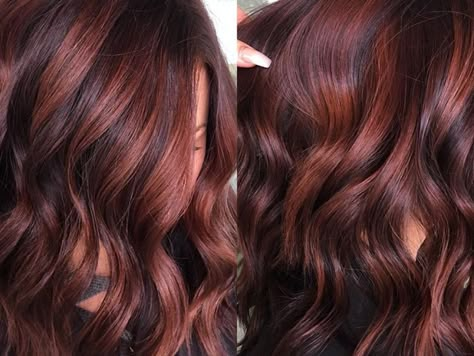 Raspberry Chocolate Hair Color, Fall Hair Colors Red Auburn, Spicy Auburn Hair Color, Raspberry Hair Color Highlights, Summer Hair Color For Red Heads, Chocolate Rose Hair, Chocolate Raspberry Hair, Famous Hair Color, Mahogany Hair Color With Highlights