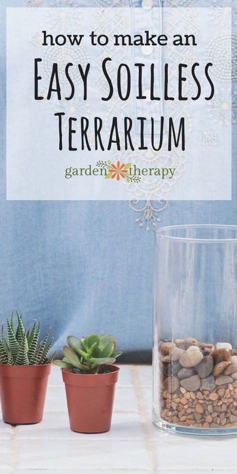 How to make an easy soiless terrarium garden Make A Terrarium, Plants Tips, Growing Food Indoors, Terrarium Garden, Be Taller, Hydroponics Diy, Hydroponic Growing, Terrarium Diy, Garden Terrarium