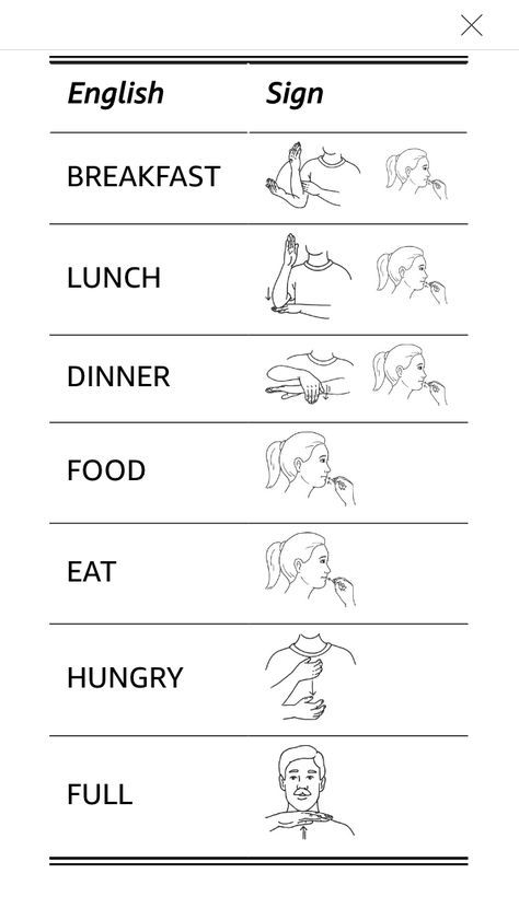 Sign Language Worksheets Free Printable, Easy Asl Phrases, My Name Is In Asl, Asl Animals, Bsl Sign Language Animals, Asl Basics, Asl Dictionary, Teaching Baby Sign Language, Easy Asl Signs