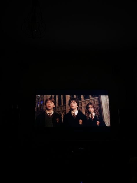 chamber of secrets movie harry potter potterhead Harry Potter Movie Night, Harry Potter 5, Harry Potter Stories, Film Story, Red Season, Chamber Of Secrets, Korean Drama Songs, Dark Paradise, Harry Potter Film