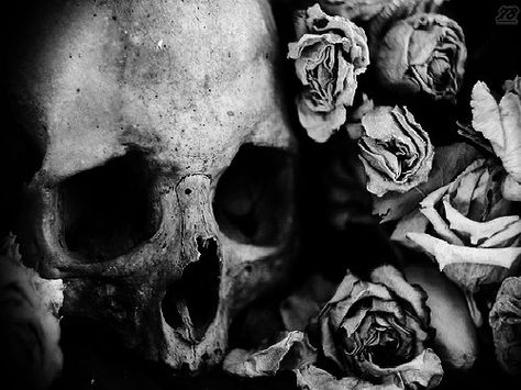 Character Aesthetics, Hades And Persephone, Skulls And Roses, Witch Aesthetic, Six Feet Under, Camp Half Blood, Skull And Bones, Memento Mori, Greek Gods