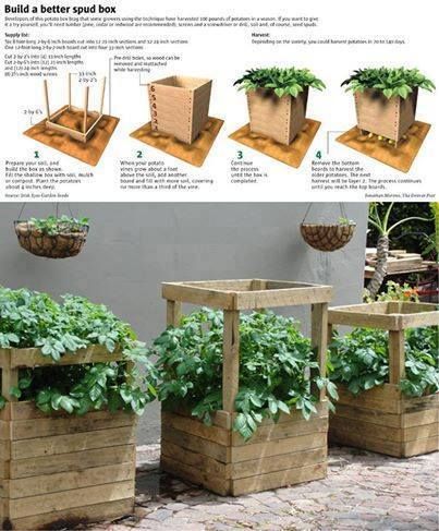 Most people love potatoes but it's definitely a crop that can take up lots of garden space. Luckily there's been a surge of creative container ideas for growing your potatoes vertically instead of in ground.   Making use of vertical space is perfect for potatoes because as the plants grow taller Potato Box, Grow Potatoes In Container, Potato Tower, Container Potatoes, Potato Planters, نباتات منزلية, Building A Raised Garden, Plants Growing, Growing Potatoes