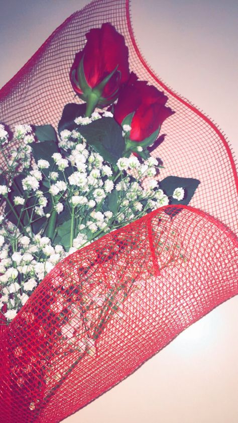 #Snapchat #snap #snapstory #roses #nameday Rose Day Snap, Rose Snapchat Stories, Snapchat Meanings, Rosé Snapchat, Love Rose Flower, Beer Photos, Flowers Images, Beautiful Flowers Images, Snapchat Story