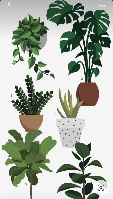 Houseplant Illustration, Houseplant Art, Plants In Pots, Plant Ideas, Hand Painted Stones, Plant Lady, Painted Stones, Crafty Projects, Plant Life