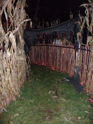 The HAUNTED HALLOWEEN CORN MAZE - 2013 - by reedwood @ LumberJocks.com ~ woodworking community Halloween Hayride Ideas, Diy Haunted Trail Ideas, Halloween Maze Ideas, Haunted Trail Ideas Scary, Backyard Haunted House, Haunted Forest Ideas, Haunted Hallway Ideas, Haunted Trail Ideas, Maze Ideas