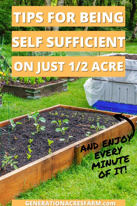 Being Self Sufficient, Prepper Ideas, Start Gardening, Farming Guide, Homesteading Ideas, Farm Living, Self Sufficient, Uk Garden, Backyard Farming