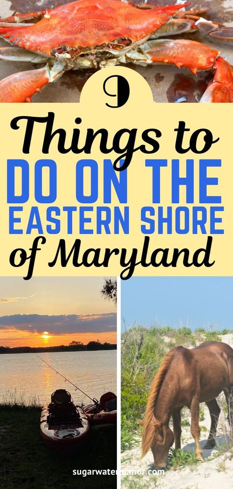 eastern shore Maryland things to do Maryland Eastern Shore, Eastern Shore Maryland, Solo Trip, Eastern Shore, Chesapeake Bay, Get Outdoors, Rv Life, St Michael, Vacation Ideas