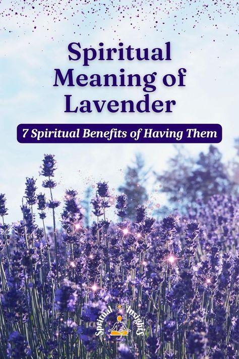 Spiritual Meaning of Lavender – 7 Spiritual Benefits of Having Them Meaning Of Lavender, Lavender Meaning, Lavender Incense, Element Of Air, Benefits Of Lavender, Lavender Benefits, Dream Symbols, Lavender Plant, Light Lavender