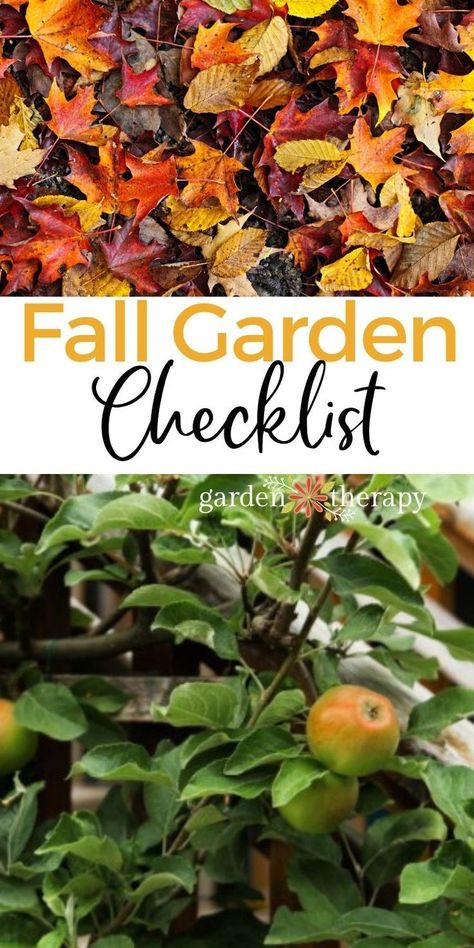 Fall Garden Preparation, Fall Garden Care, Fall Garden Checklist, Kitchen Garden Ideas, Homestead Garden Layout, Garden Checklist, Garden Preparation, Landscape Rock, Homestead Gardens