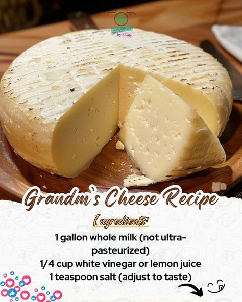 Emily Recipes - Rediscover the art of cheese-making with... Homemade American Cheese, Making Sour Cream, Whip Cream Recipe, Homemade Lunch Meat, Homemade Cheddar Cheese, Farmers Cheese Recipes, Homemade Cheese Recipes, Homemade Cheeses, Homemade Mozzarella Cheese