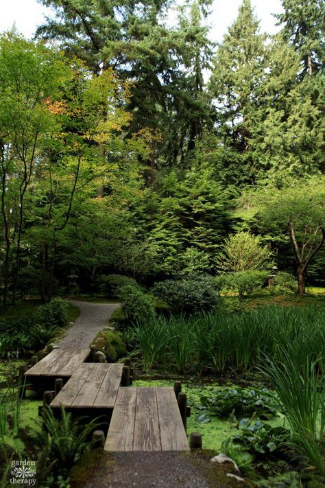 Japanese Garden Plants, Japanese Gardens Design Ideas, Garden Japanese, Small Japanese Garden, Japanese Garden Landscape, Japanese Tea Garden, University Of British Columbia, Japanese Garden Design, Japanese Gardens