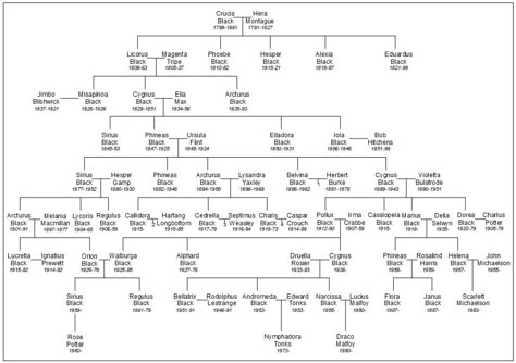 Harry Potter Fandom Harry Potter Black Family Tree, House Of Black Family Tree, Noble House Of Black Family Tree, The Black Family Tree, Black Family Tree Harry Potter, Black Family Harry Potter, Family Tree Wallpaper, Harry Potter List, Harry Potter Family Tree