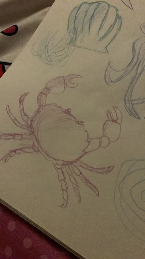 Marine Sketch Ideas, Marine Biology Sketch, Crab Sketch Drawings, How To Draw A Crab, Ocean Background Drawing, Crab Drawing Easy, Sea Life Sketches, Marine Biology Drawings, Ocean Drawing Underwater