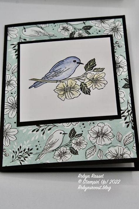 Bird Free, Hello Cards, Wink Of Stella, Card Making Techniques, Greeting Card Design, Card Designs, Greeting Cards Handmade, Soft Pastel, To Color