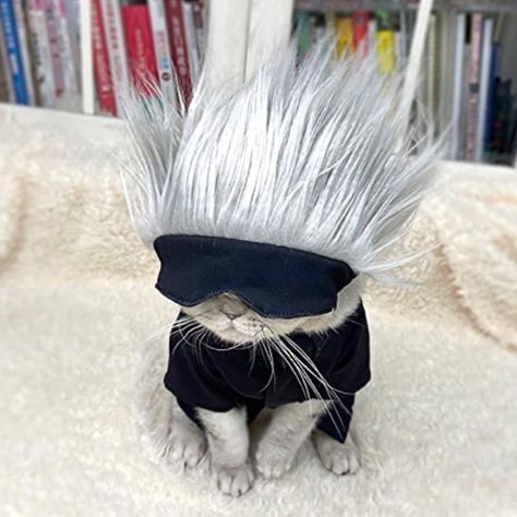 a cat wearing a gojo satoru cosplay Pet Photography Props, Gojo Cat, Cat Dressed Up, Halloween Costume Suit, Cat Cosplay, Neko Cat, Cute Costumes, Gojo Satoru, Pet Costumes