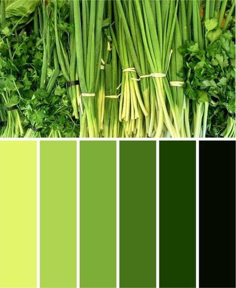 Lime Green Colour Palette, Bright Green Color Palette, Green Color Chart, Green Monochromatic, Pista Green Colour, Colored Walls, Green Branding, Black Color Palette, Black Color Combination