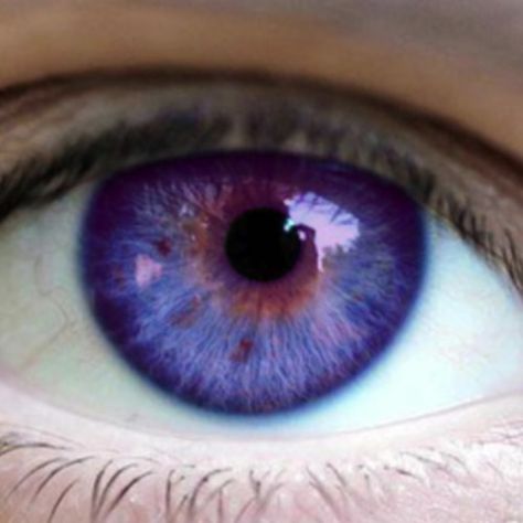 Purple Eyes Aesthetic Male, Purple Eye Aesthetic, Purple Eyes Aesthetic, Blue And Purple Eyes, Purple Eye Color, Purple Blue Eyes, Blue Purple Eyes, Blue Eyes Aesthetic, Indigo Eyes