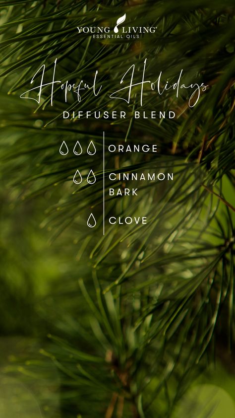 Clove Oil Uses, Christmas Diffuser Blends, Essential Oil Combinations, Essential Oil Diffuser Blends Recipes, Young Living Essential Oils Recipes, Clove Essential Oil, Essential Oils Herbs, Essential Oil Diffuser Recipes, Yl Essential Oils