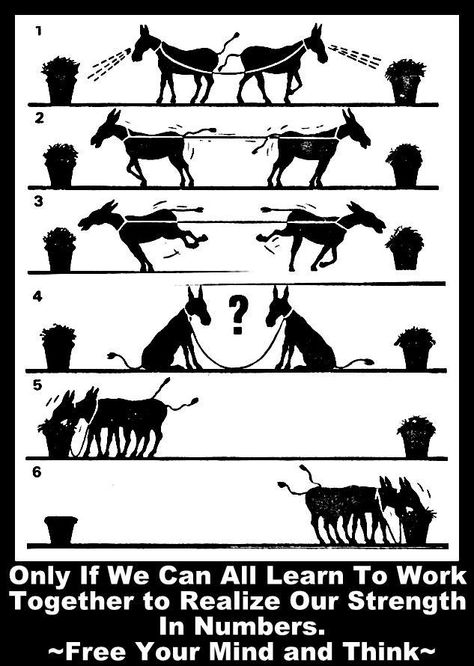 Are these donkeys or dogs? Peer Mediation, Meaningful Pictures, Conflict Management, Leader In Me, 21st Century Skills, Think Deeply, Conflict Resolution, School Counseling, Working Together