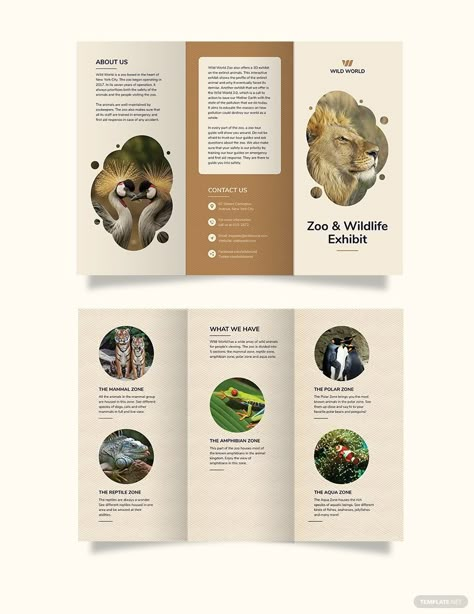 Zoo Tri-Fold Brochure Template Zoo Pamphlet, Animal Brochure, Zoo Brochure, Rack Cards Design, Brochure Examples, Yearbook Layouts, Brochure Design Creative, Brochure Design Layout, Corporate Brochure Design