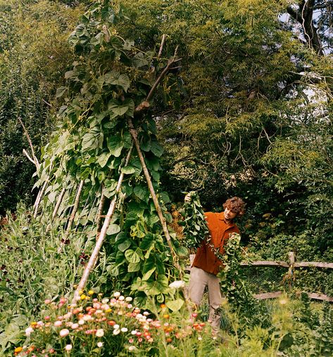 Chef and farmer Julius Roberts shares his farm-to-fork recipes inspired by the season — Country Living UK After Apple Picking Robert Frost, Julius Roberts, Herb Robert, Farm Aesthetic Vegetables, Starting A Farm, Country Living Uk, Farm Photography, Recipe Collection, Country Living