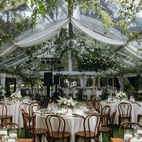 💗💗 Wedding season is almost here and we are ready for the celebrations! Contact us today and let us help with your special day! https://ntaco.com/contact-us/ #ntaco #smallbusiness #nashvillebusiness #celebration #weddingseason Tent Wedding Fall, Gazebo Decorating Ideas Wedding, Tent Wedding Reception Layout, Garden Wedding Tent, Outdoor Gazebo Wedding, Tent Wedding Decorations, Wedding Outdoor Decoration, Sailcloth Tent Wedding, Wedding Tent Decorations