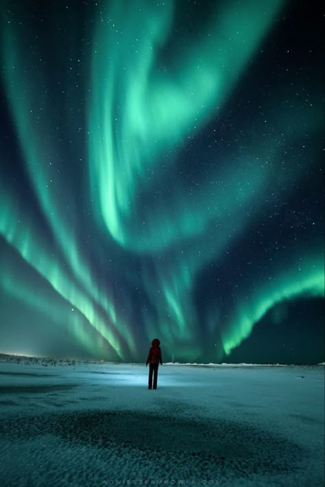 Northern Lights Photography, Aurora Borealis Northern Lights, 수채화 그림, The Northern Lights, Pretty Sky, Pretty Places, Travel Inspo, Dream Destinations, Travel Aesthetic