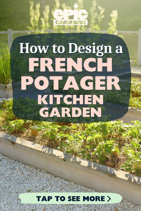 Is a new kitchen garden on your list of additions to your garden this year? A French potager is a beautiful way to incorporate edibles into your garden design. In this article, our gardening expert will share her gardening tips for advanced and beginner gardeners on how to design a French potager kitchen garden. Get started on creating your dream garden today! French Potager Garden Design, French Garden Ideas Provence France, French Vegetable Garden, French Potager Garden, French Kitchen Garden, Potager Garden Design, Veggie Garden Design, Patio Options, Vegetable Garden Plans