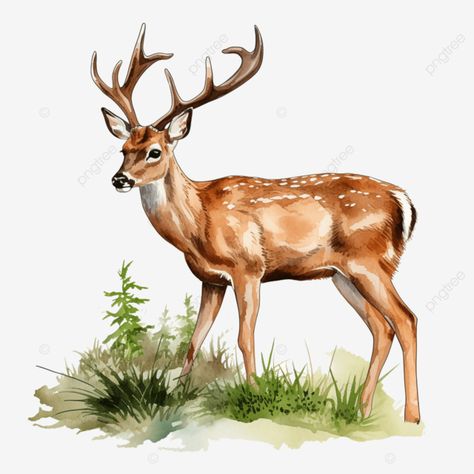 a deer clip art grazing peacefully depicted in the act of eating deer clipart animal wildlife clip Deer Clip Art, Deer Reference, Deer Eating, Bas Relief Art, Deer Clipart, Grass Vector, Holiday Flyer Template, Painting Stuff, Relief Art