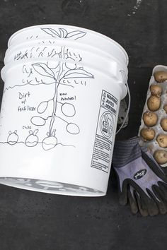 Grab a five-gallon bucket or two and grow yourself some future French fries. It's so easy and yields pounds of potatoes in a tiny space. Grow Potatoes In Container, Bucket Garden, Container Potatoes, Potato Gardening, Raised Vegetable Gardens, Planting Potatoes, Bucket Gardening, Urban Farmer, Vegetable Garden Diy