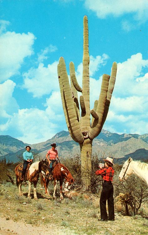 Arizona Aesthetic, Red Dead Redemption Art, Cowboy Photography, Cowboy Aesthetic, Cowboy Theme, Southwest Desert, Western Aesthetic, Shoes Photo, Saguaro Cactus