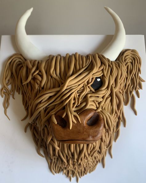 Highland Cow Pull Apart Cupcake Cake, Hi Land Cow Cake, Highland Cow Sheet Cake, Highland Cake, Cow Smash Cake Boys, Highland Cow Smash Cake, Highland Cow Cake Tutorial, Hyland Cow Cake, Highland Cow Cookies