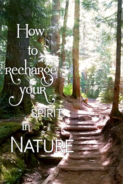 Discover ways to connect to mother earth and receive nature's energy. Nature Worship, Medicine Quotes, Goddess Names, Mother Earth Living, Natural Air Purifier, Green Witchcraft, Earth Mama, Forest Bathing, Divine Nature