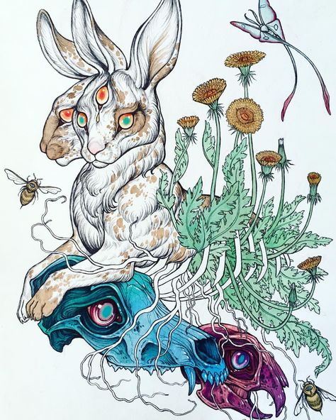 I’ve started watercolor layers on this two headed rabbit piece, I’m creating this painting for an upcoming show titled “Tattooed” at… Two Headed Rabbit, Caitlin Hackett, Rabbit Drawing, Bunny Tattoos, Rabbit Tattoos, Rabbit Art, Bunny Art, Trippy Art, A Drawing