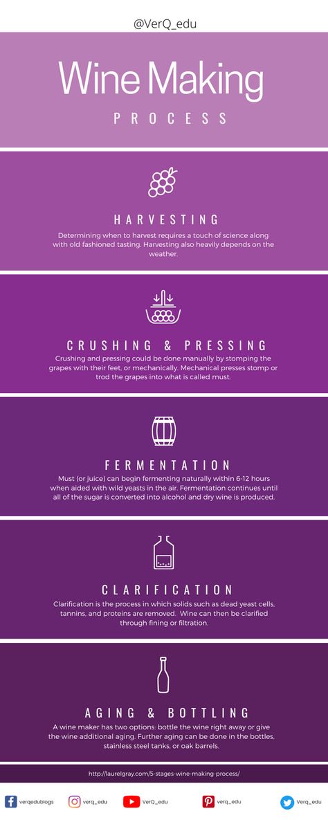 How To Make Wine At Home, Library Speakeasy, Wine Process, Winery Business, How To Make Wine, Wine Business, Wine Facts, Wine Making Process, Wine Sommelier