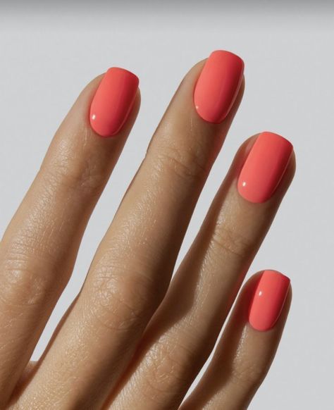 Simple Nails Bright, Nail Ideas Coral, Bright Coral Nails, Dip Nail Ideas, Nails Bright, Dip Nail, Coral Nails, Minimalist Nail Art, Nails Simple