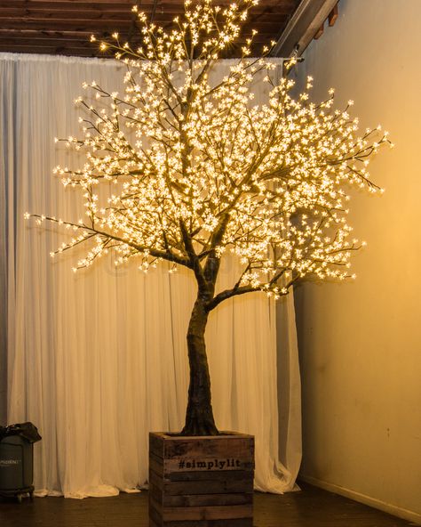 A warm white LED Cherry tree setup at a fake wedding in Atlanta, GA. There was definitely a line of selfie-takers in front of the tree. Plan Dressing, Artificial Cherry Blossom Tree, Outdoor Tree Lighting, Fairy Lights In Trees, Tree Branch Decor, Dry Tree, Simple Dressing, Light Up Tree, Indoor Tree