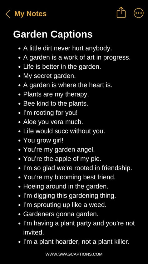 Looking for the perfect way to express your love for plants? Check out these Garden Captions For Plant Lovers! Whether you're sharing a photo of your blooming backyard, a new plant addition, or simply celebrating your green thumb, these captions will add a touch of nature's charm to your posts. From witty and fun to heartfelt and inspiring, find the ideal caption to complement your garden moments. Gardening Instagram Story, Quotes For Plant Lovers, Plants Caption, My Garden Quotes, Plant Captions, Gardening Captions For Instagram, Plant Captions Instagram, Plants Quotes Green, Garden Instagram Captions