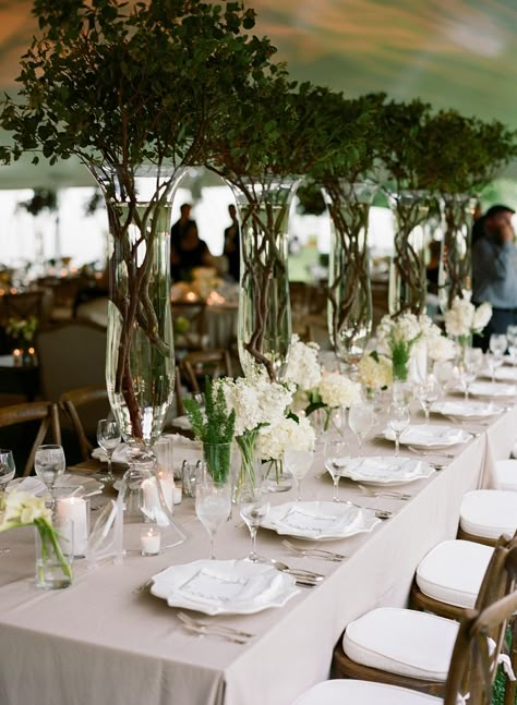 Reception Tent, Tent Decor, Manzanita Branches, Green Centerpieces, Tree Centerpieces, Tent Decorations, Kentucky Wedding, Tall Centerpieces, Wedding Table Flowers